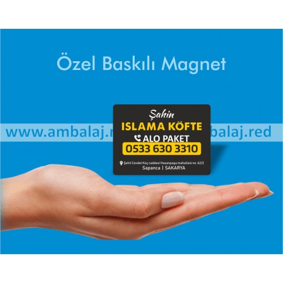 Magnet Modelleri | 1000 Adet