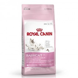 Royal Canin Yavru kedi maması BabyCat Kuru 2 Kg