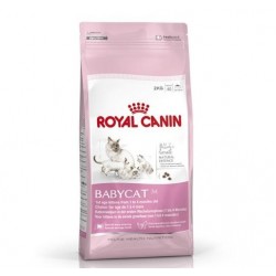 Royal Canin Yavru kedi maması BabyCat Kuru 2 Kg