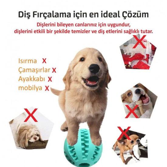 Köpek Dişi Fırçalama Topu