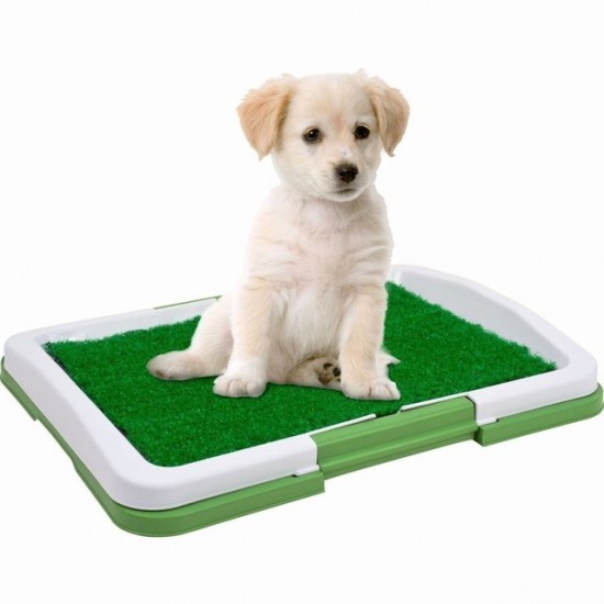 Yavru Köpek Tuvaleti | Pet Zoom Potty Pad